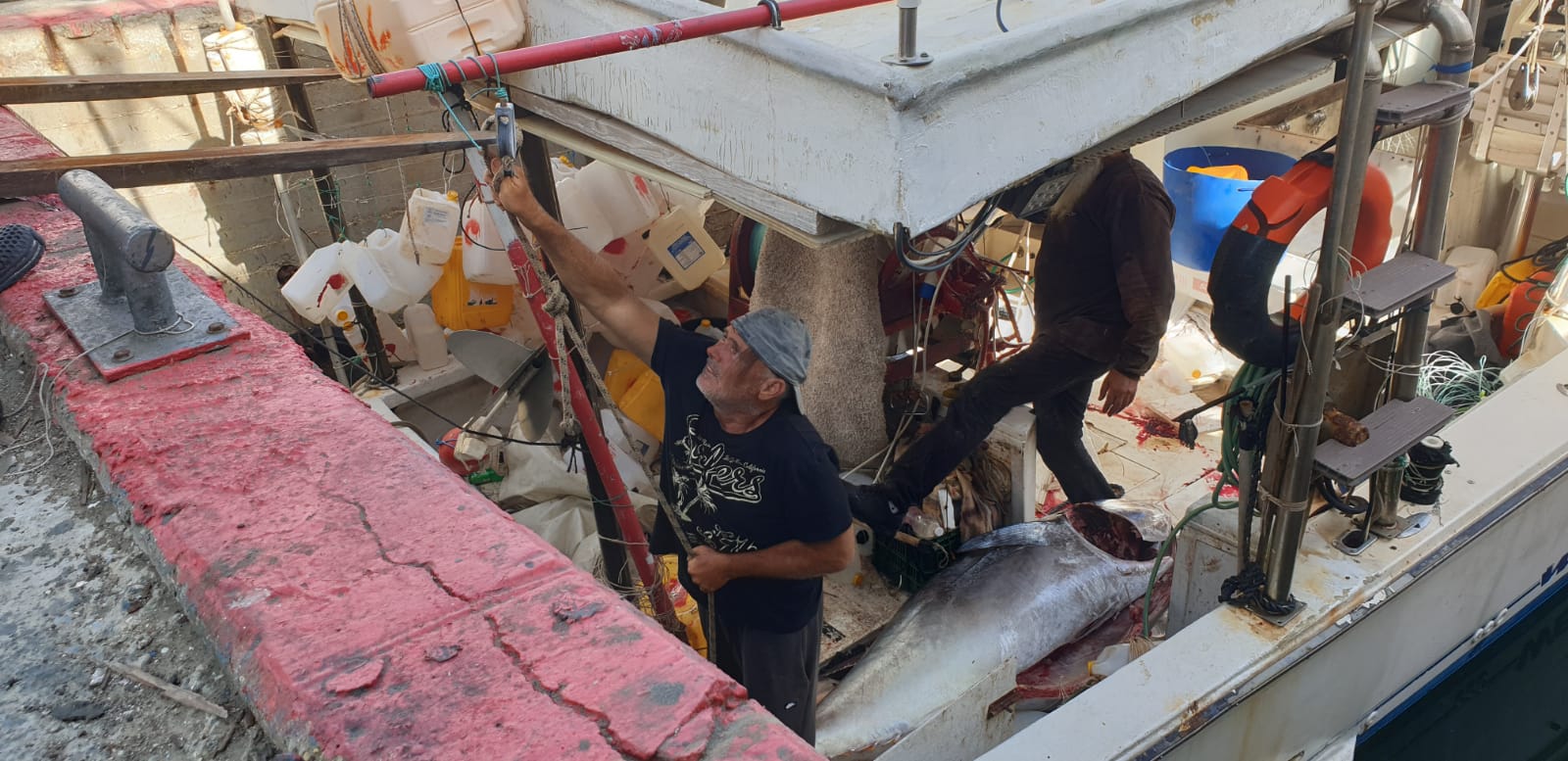 WhatsApp Image 2020-05-13 at 9.01.55 AM.jpeg.jpeg